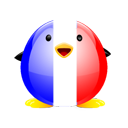 Penguin pingouin pinguino 311